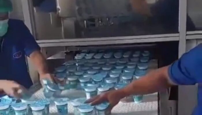 Kelangkaan Susu UHT, SPPG Bisa Beralih ke Susu Pasteurisasi