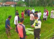Sempat Terhenti, KA Sritanjung Tertemper Warga di Jalur Ranuyoso–Klakah