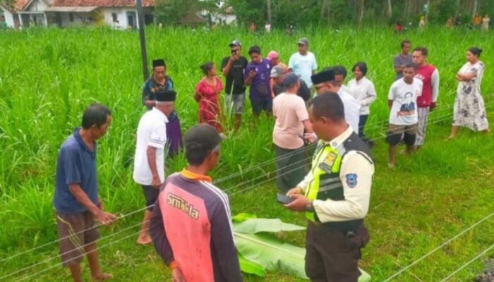 Sempat Terhenti, KA Sritanjung Tertemper Warga di Jalur Ranuyoso–Klakah