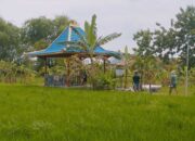 FMN Temukan Dugaan Ketimpangan Nilai dan Kerugian Tukar Guling TKD Ngampel
