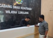 Aduan Dugaan Pungli Tambang di Kawasan Hutan Sumberwuluh Masuk ke Dinas Kehutanan