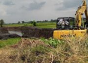 82 Kilometer Saluran Irigasi di Jombang Dinormalisasi, PUPR Kebut Cegah Banjir