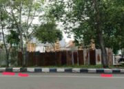 DLH Lumajang Wajibkan Ganti 25 Bibit Untuk Tebang 2 Pohon, Warga Pertanyakan Dasar Hukumnya