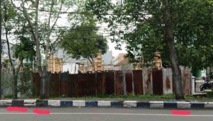 DLH Lumajang Wajibkan Ganti 25 Bibit Untuk Tebang 2 Pohon, Warga Pertanyakan Dasar Hukumnya