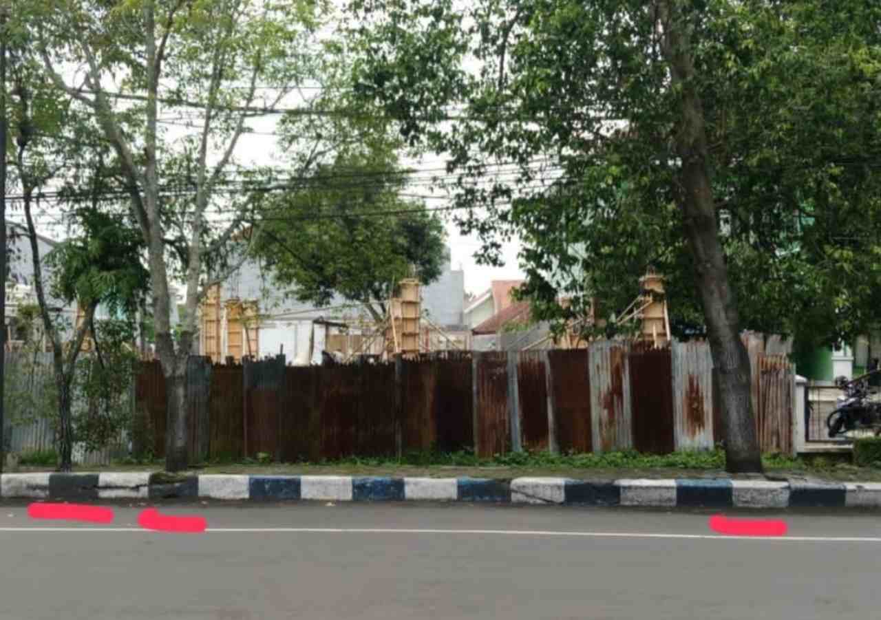 Pohon