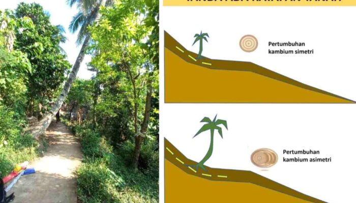 Hujan Deras Picu Tanah Bergerak, ITS Ingatkan Ancaman Longsor Susulan