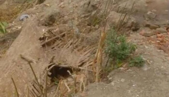 Abrasi Bantaran Bengawan Solo Ancam Longsorkan 7 Rumah Warga, Pemkab Bojonegoro Dituding Tak Gercep