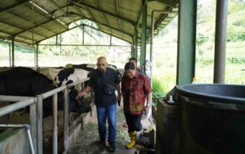 Koperasi Baru Batu