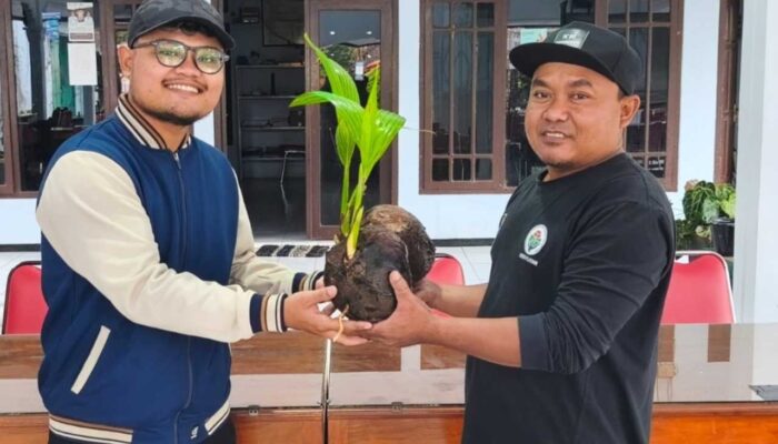 Desa Dono Kecamatan Sendang Adakan Bibit Kelapa Genjah Jalankan Program Ketahanan Pangan