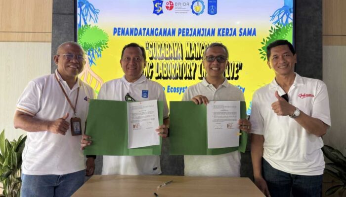 Kolaborasi ITS-BRIDA, Mangrove Surabaya Disiapkan Jadi Laboratorium Hidup Kelas Dunia