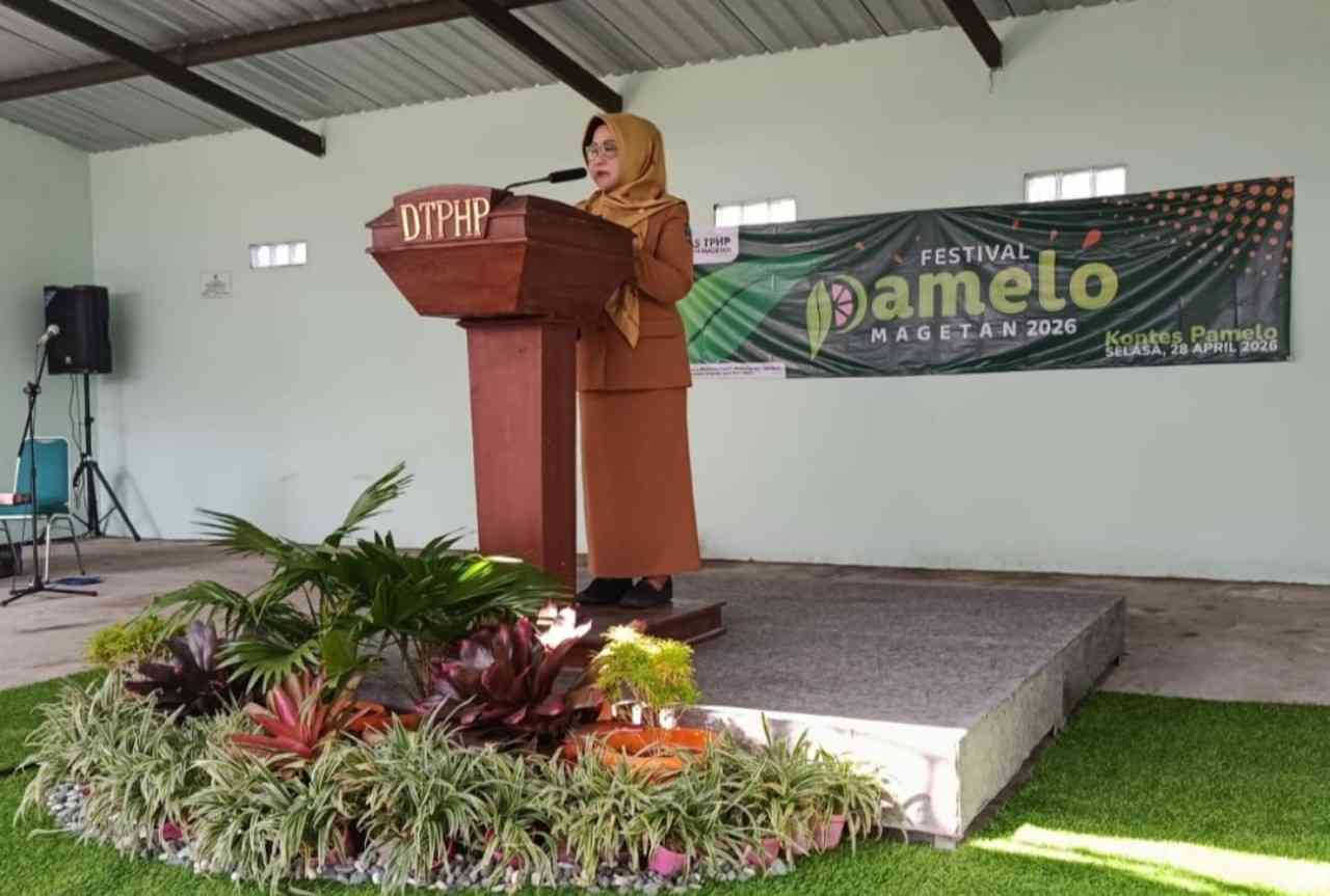 Festival Pamelo