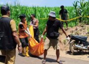 Pencari Rumput Temukan Mayat Membusuk di Kebun Jagung Wonosalam Jombang
