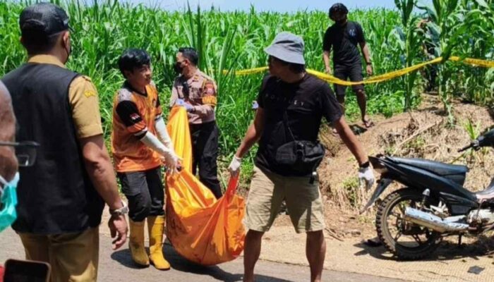 Pencari Rumput Temukan Mayat Membusuk di Kebun Jagung Wonosalam Jombang