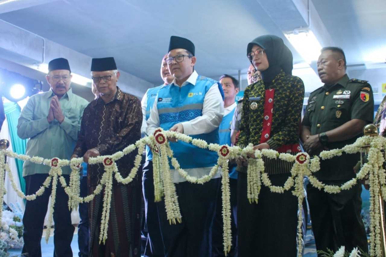 PLN