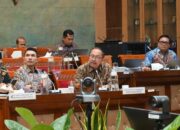 Ribuan Guru Honorer Terancam Tersisih, Komisi X DPR RI Desak Pemerintah Utamakan Non-ASN di Rekrutmen CASN