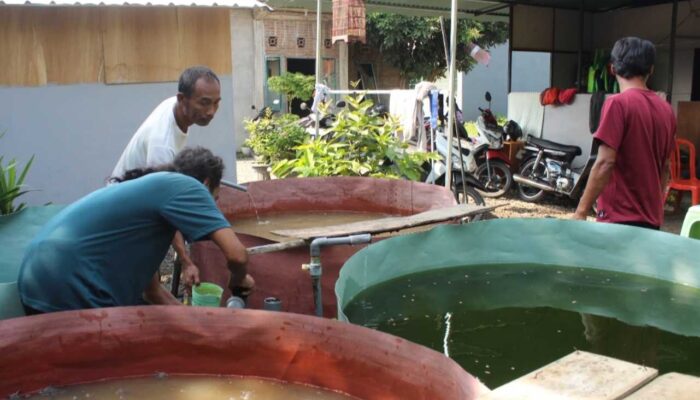 Rumah Lansia Gusdurian Mojokutho Pare Bangun Ketahanan Pangan Lewat Budidaya Lele