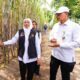 Khofifah