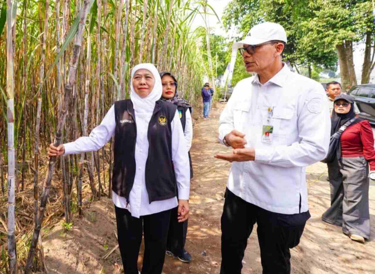 Khofifah