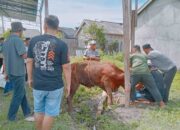 Warga GMJ 2 Kurban 2 Ekor Sapi dan 1 Kambing Perkuat Ukhuwah Islamiah