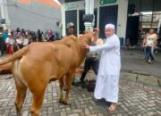 Idul Adha 2026 Majelis Ar-Rohimin Surabaya Sembelih 41 Ekor Hewan Kurban