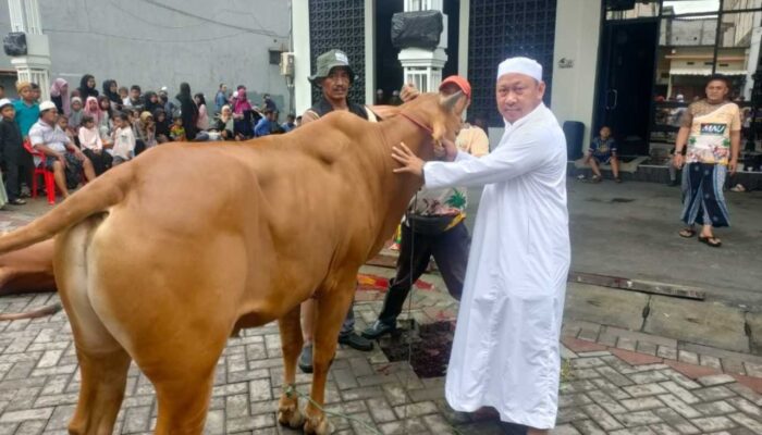 Idul Adha 2026 Majelis Ar-Rohimin Surabaya Sembelih 41 Ekor Hewan Kurban