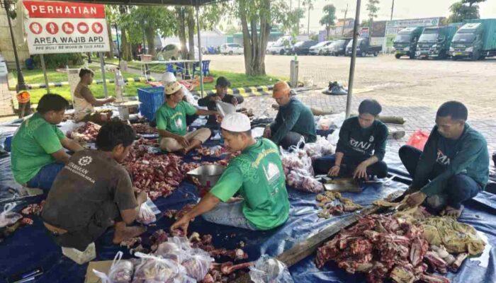 Usai Potong 11 Hewan Kurban, HUT ke-11 PT MNJ Siap Gelar Sholawat Bersama Habib Syech