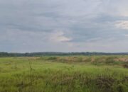 Tanah Milik Warga Desa Tanjung Dayang Selatan Diduga Diserobot Oknum Sekda Kota Palembang