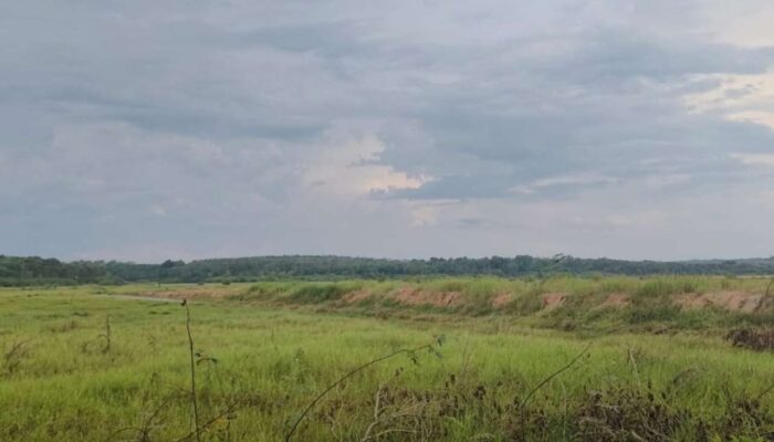 Tanah Milik Warga Desa Tanjung Dayang Selatan Diduga Diserobot Oknum Sekda Kota Palembang