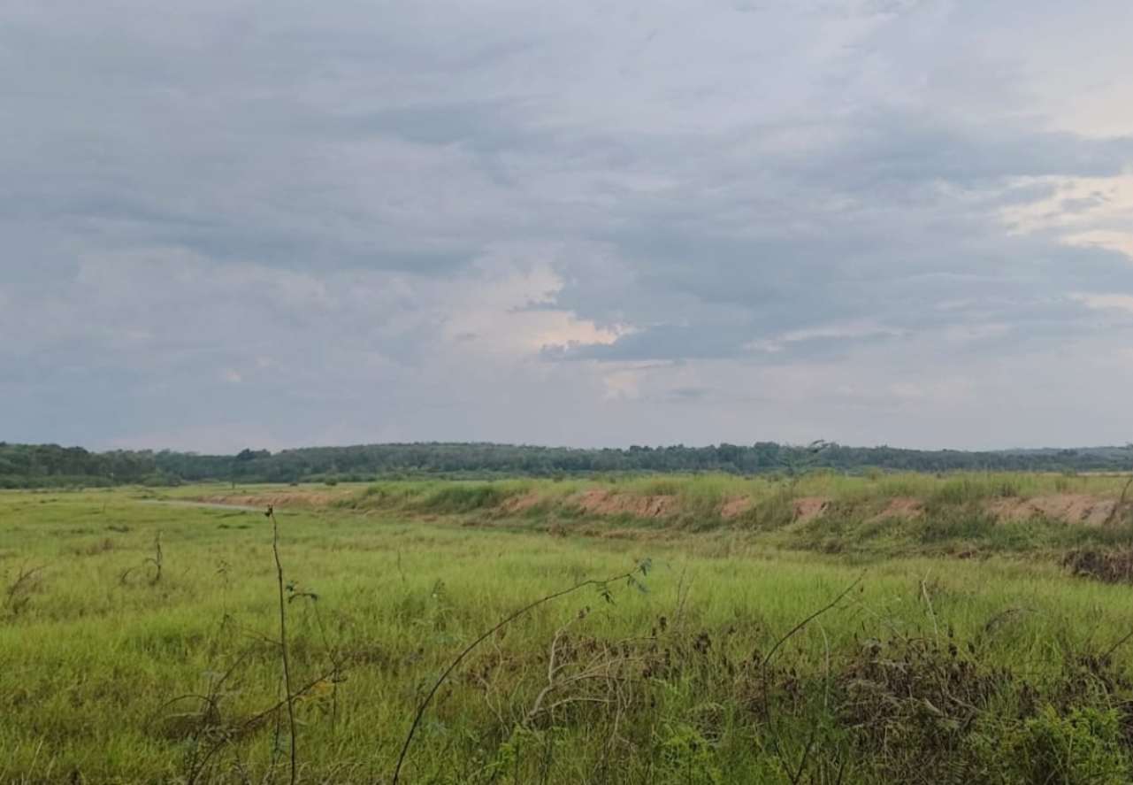 Tanah milik