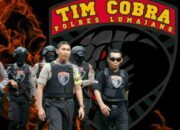 Lumajang Darurat Begal dan Curanmor, Warga Rindukan Aksi Tim Cobra Polres