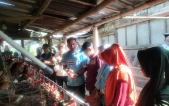 Progam Gayatri, Kini Mulai Terasa Dampaknya Bagi Masyarakat Bojonegoro