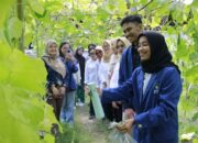 Inovasi Mahasiswa ITS, Teknologi Nano Tingkatkan Efektivitas Pestisida Dinotefuran