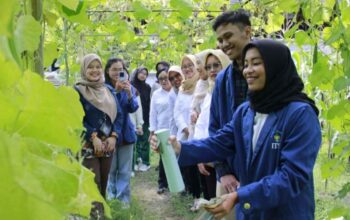 Inovasi Mahasiswa ITS, Teknologi Nano Tingkatkan Efektivitas Pestisida Dinotefuran