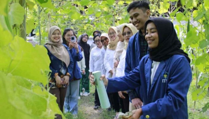 Inovasi Mahasiswa ITS, Teknologi Nano Tingkatkan Efektivitas Pestisida Dinotefuran