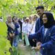 Inovasi Mahasiswa ITS, Teknologi Nano Tingkatkan Efektivitas Pestisida Dinotefuran
