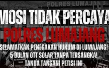 LGSA