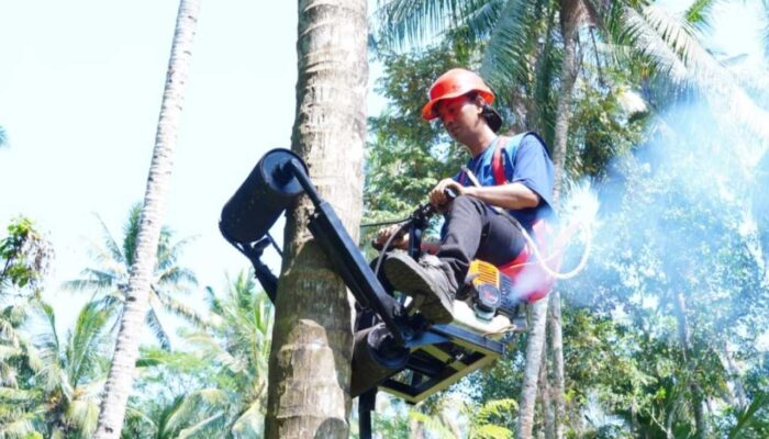 Tingkatkan Produktivitas Petani, ITS Kembangkan Mocits, Alat Panjat Kelapa Modern