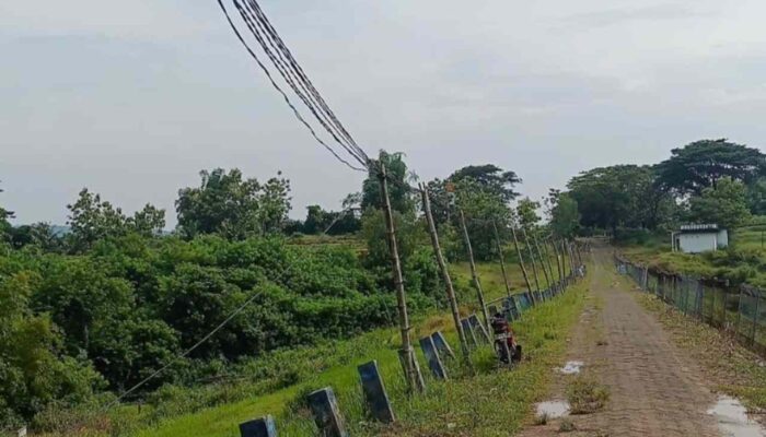 Warga Dusun Burnang Keluhkan Gangguan Listrik, 2 Tahun Tak Ditangani