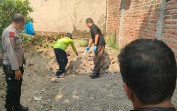 Perumahan Salak Madiun Geger Temukan Mayat, Polisi Pastikan Bangkai Kucing
