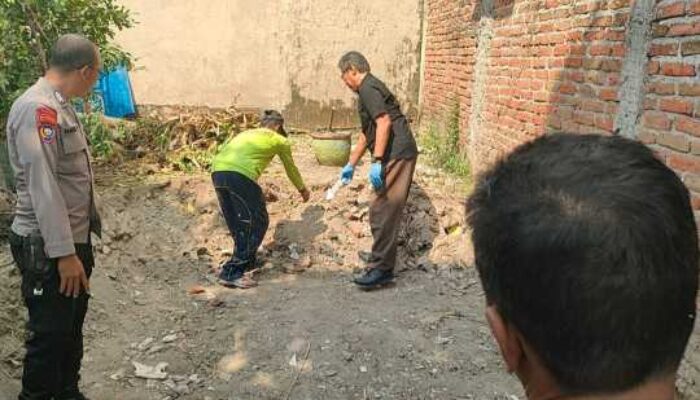 Perumahan Salak Madiun Geger Temukan Mayat, Polisi Pastikan Bangkai Kucing