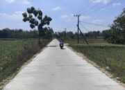 BKKD