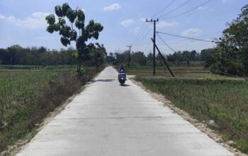 BKKD