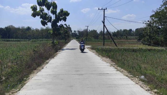 Realisasi BKKD Pemkab Bojonegoro: Desa Sambong, Rampungkan Bangun Jalan Poros