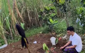 Bullying Berujung Maut di Lumajang, Gegara Bangku, Keluarga Duga Ada Ancaman