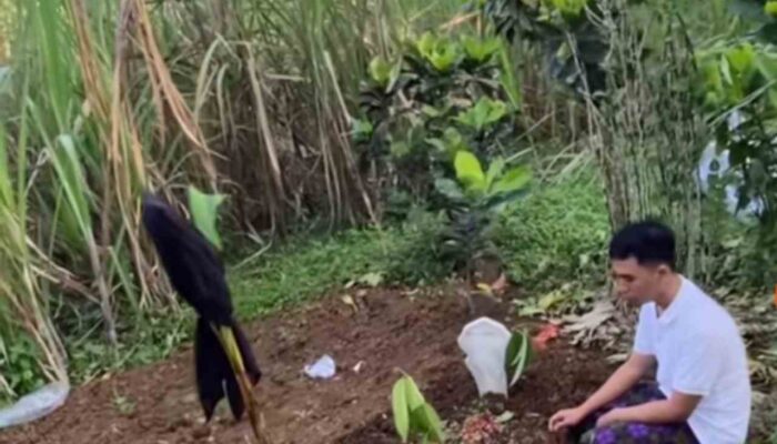 Bullying Berujung Maut di Lumajang, Gegara Bangku, Keluarga Duga Ada Ancaman
