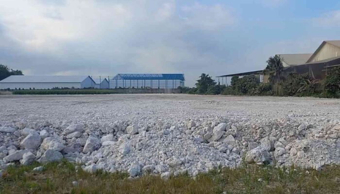 Alihfungsi LP2B Menjadi Gudang Beras Diklaim Sudah Kantongi Izin, Pihak Pabrik: Untuk Ketahanan Pangan