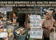 MBG