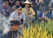Plt Bupati Tulungagung ABAH Saksikan Petik Padi Poktan se-Desa Kalidawer