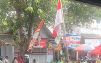 Patriotisme