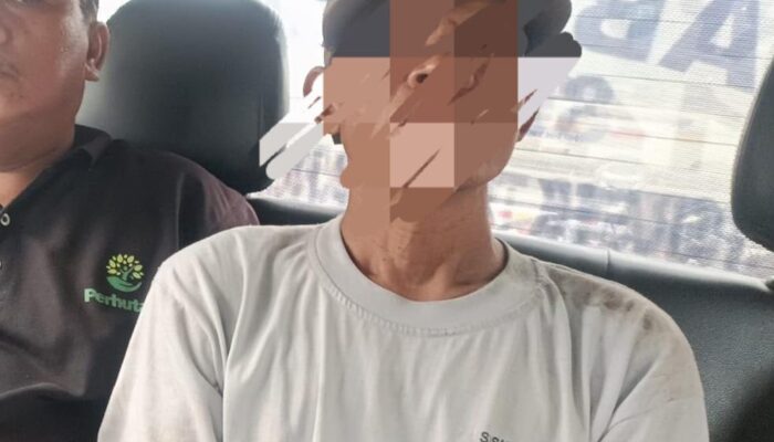 Diduga Ambil 2 Potong Kayu Jati, Suginanto Terancam Hukum Mati Rasa: Perhutani Tolak Opsi Damai